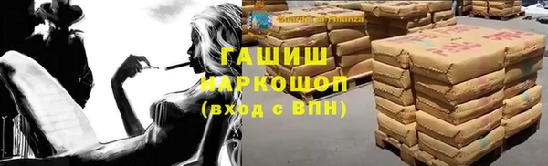гашик Краснослободск