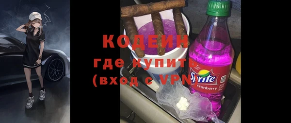 гашик Краснослободск