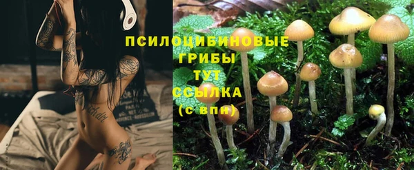 кристаллы Костерёво