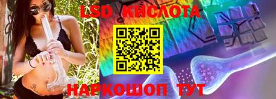 шишки Берёзовский