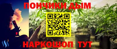 шишки Берёзовский