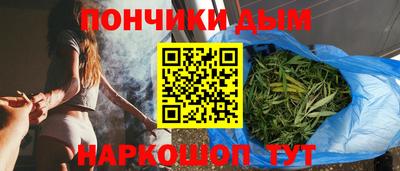 дмт Бийск