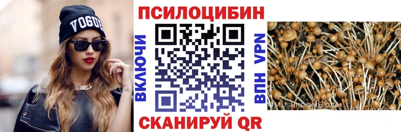 нарко площадка клад  Владимир  Галлюциногенные грибы GOLDEN TEACHER 