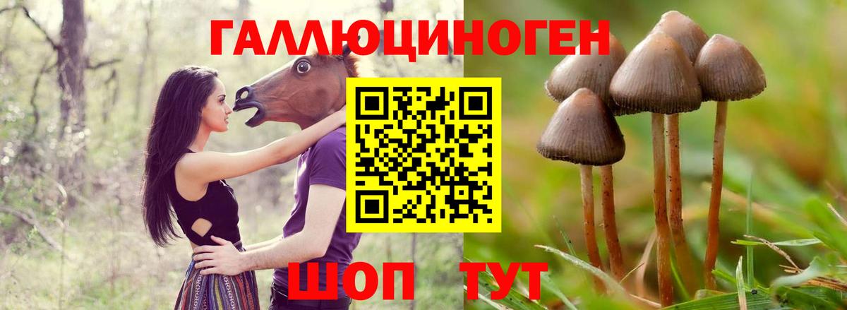 Псилоцибиновые грибы Magic Shrooms  Владимир  Псилоцибиновые грибы мухоморы 