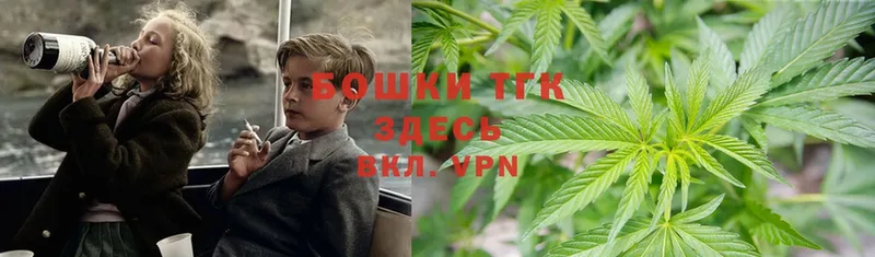 mega вход  Владимир  Шишки марихуана SATIVA & INDICA 